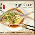 NM031.鯧魚